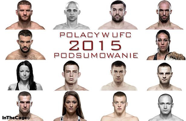 Polacy w UFC: Podsumowanie 2015 roku