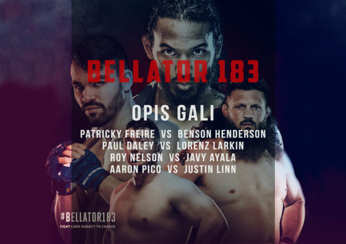 Bellator 183