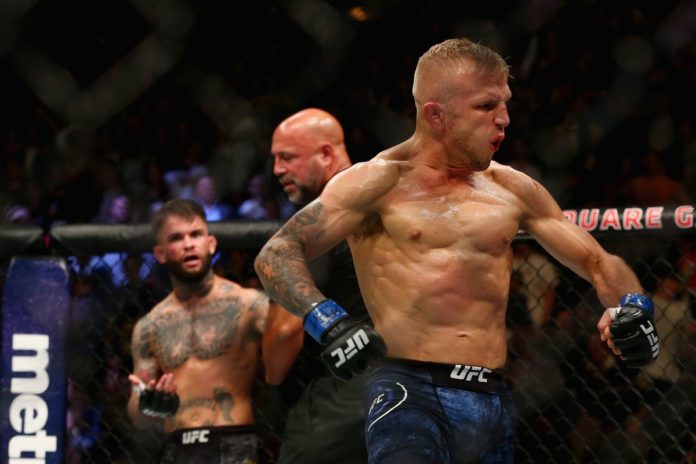 garbrandt dillashaw
