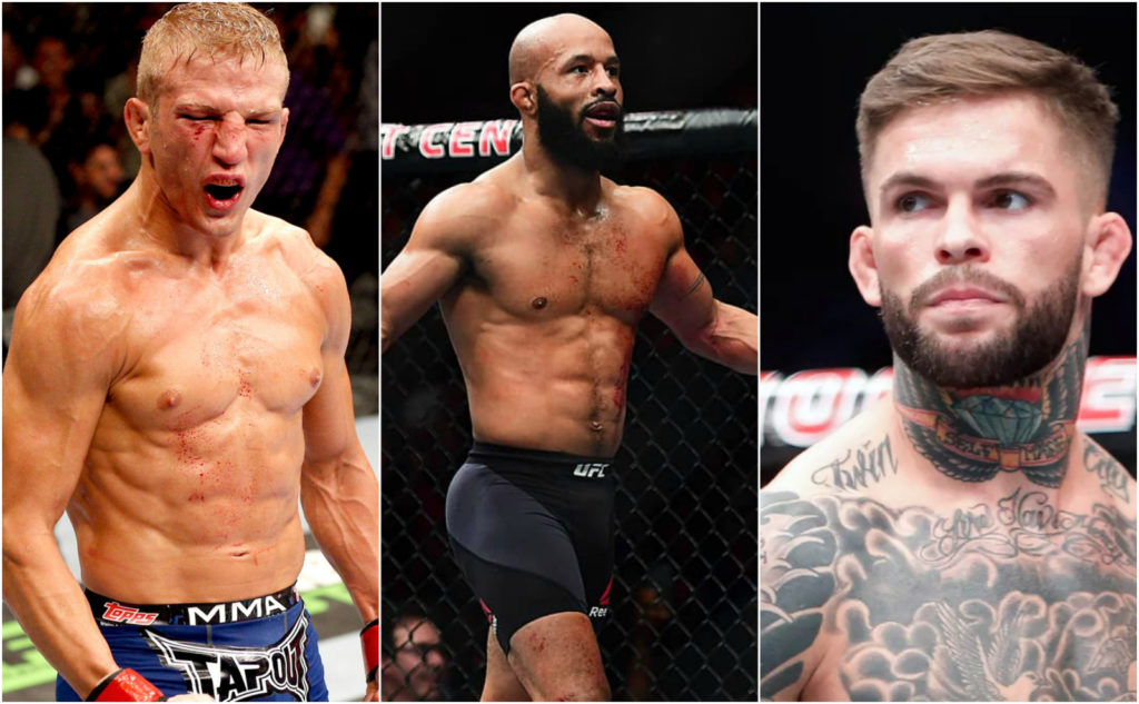 Demetrious Johnson o negocjacjach z T.J’em Dillashawem, Garbrandt gotowy oddać część swojej wypłaty