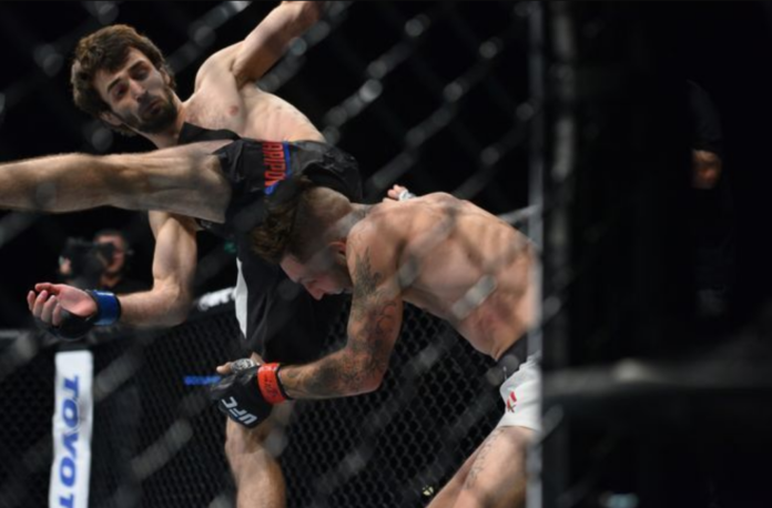 zabit