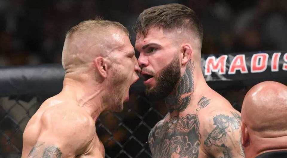 TJ Dillashaw vs. Cody Garbrandt – darmowa walka z UFC 217 [WIDEO]