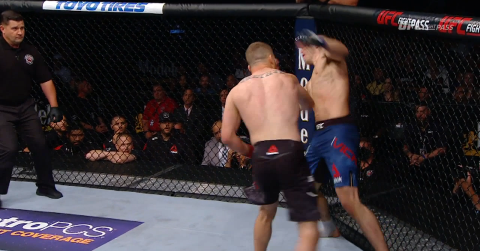 UFC Lincoln: Justin Gaethje ciężko nokautuje Jamesa Vicka  [WIDEO]