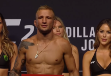 inthecage.pl