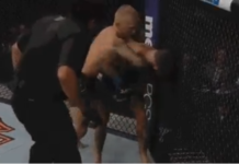 inthecage.pl