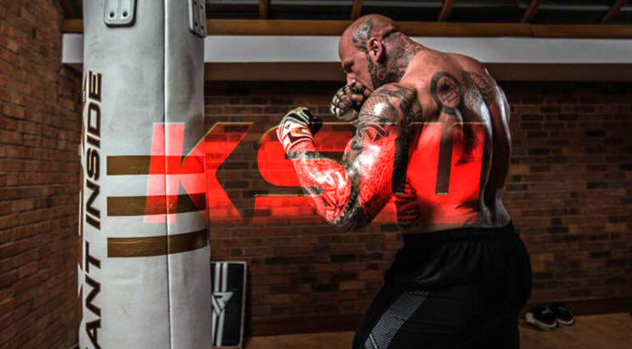 Martyn Ford w KSW