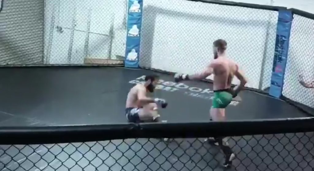 Conor McGregor posyła na deski i broni obaleń, czyli migawki z treningów przed UFC 229 [WIDEO]