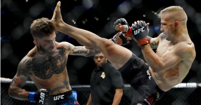213_TJ_Dillashaw_x_Cody_Garbrandt inthecage.pl