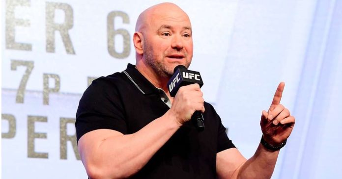 dana white inthecage.pl