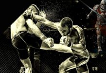 Kolejny weekend z amatorskim MMA spędzimy w Poznaniu na ALMMA 158