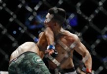 UFC Fight Night 139 – wyniki