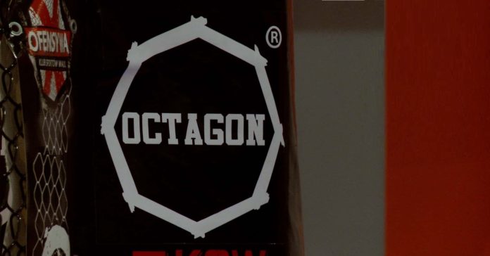 Zapowiedz-octagonu-min