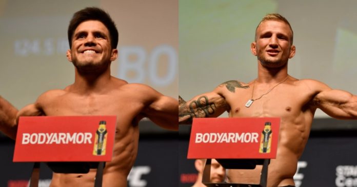cejudo dillashaw