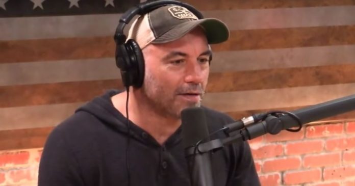 joe rogan
