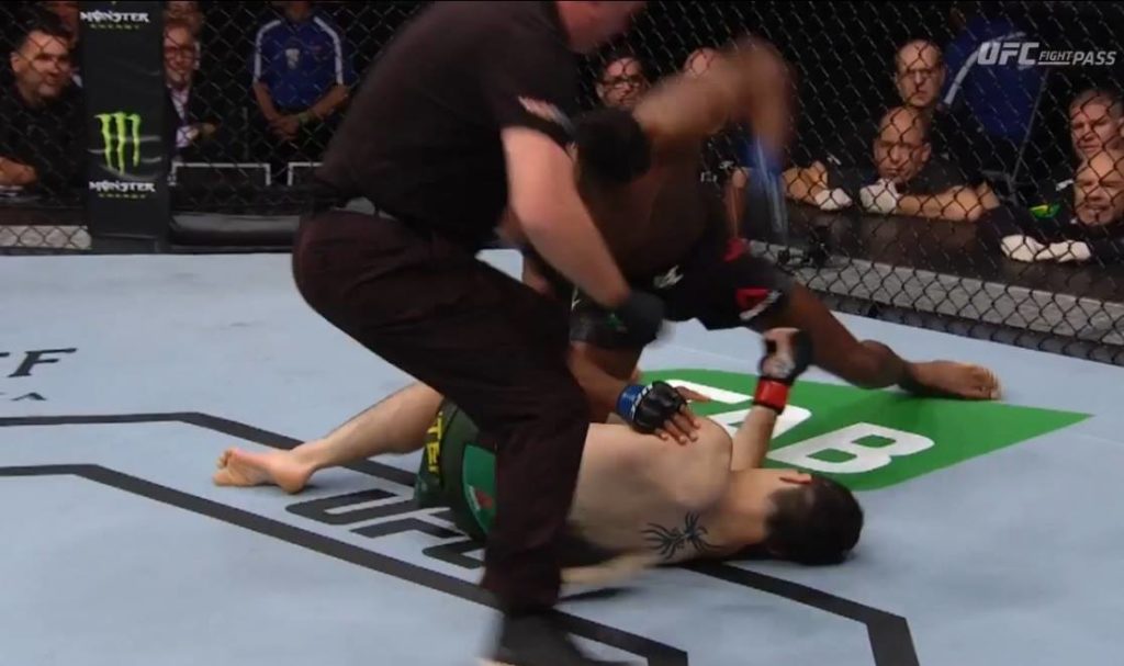 UFC 234: Jalin Turner ekspresowo ubija byłego rywala Marcina Helda [WIDEO]