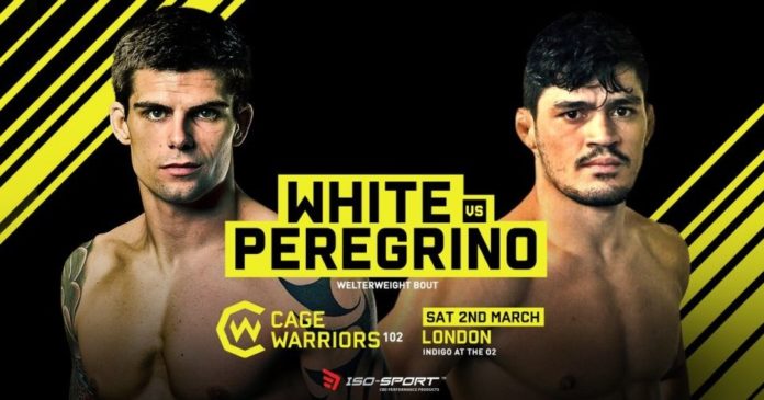 craig white joilton peregrino