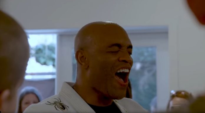 anderson silva