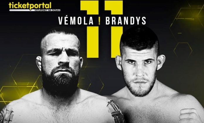 Karlos Vemola, Paweł Brandys