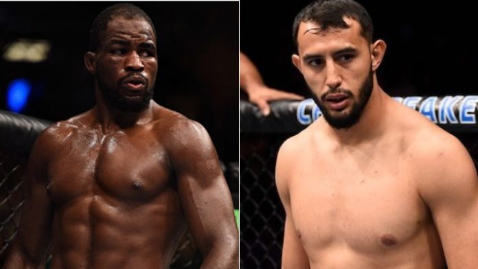 Corey Anderson, Dominick Reyes