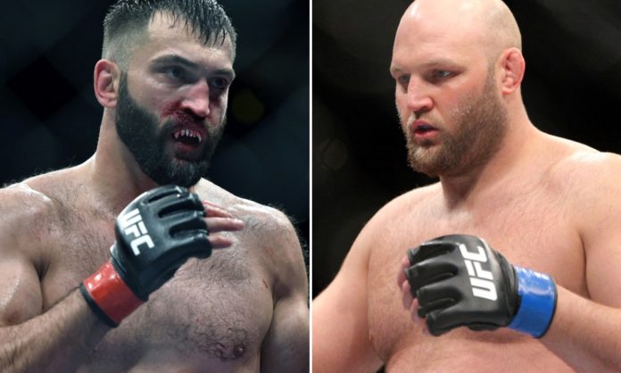 andrei Arlovski, ben Rothwel