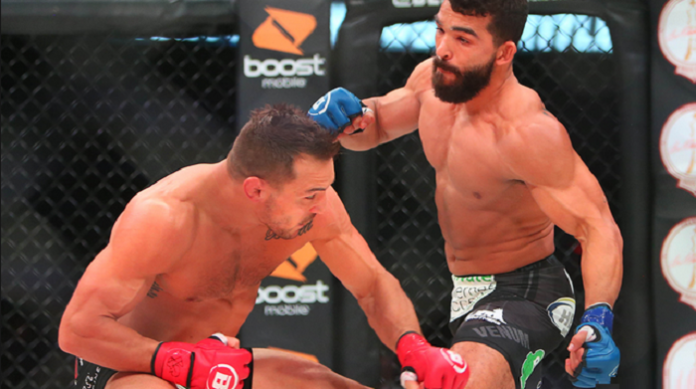 bellator 221