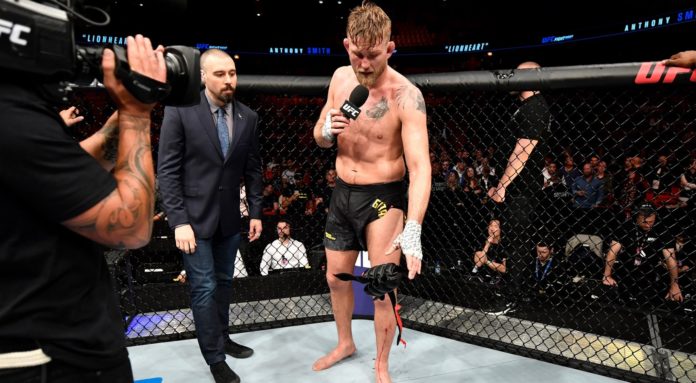 ufc alexander gustafsson