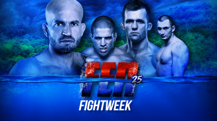 fightweek-800x445