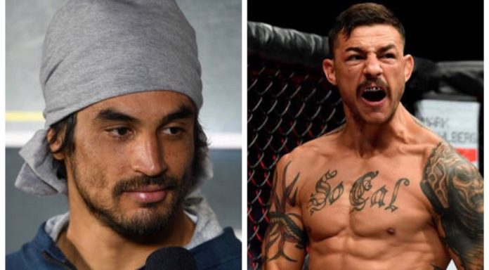 gracie vs swansos