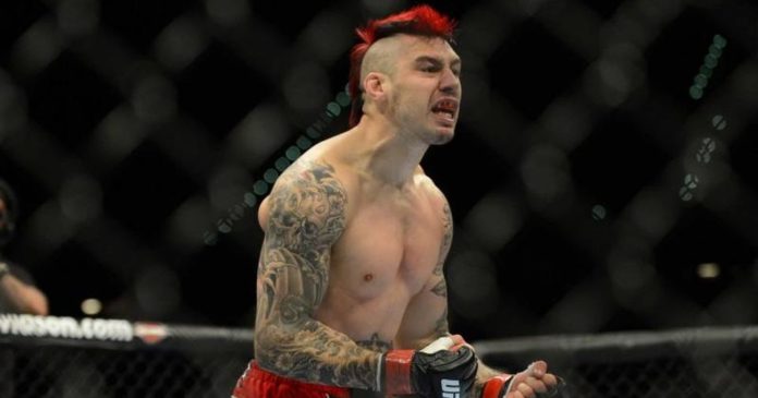 dan hardy