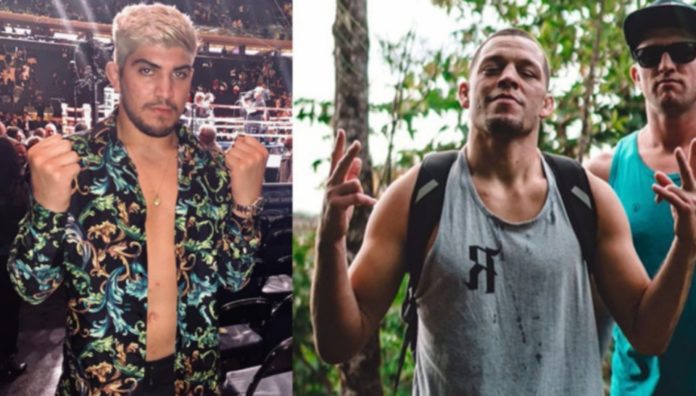 nate diaz, Dillon danis