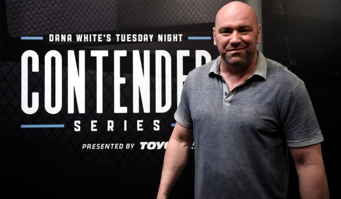 dwcs 23