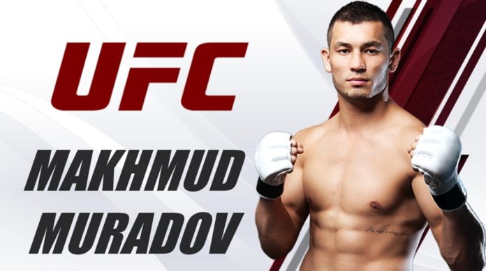 Makhmud Muradov