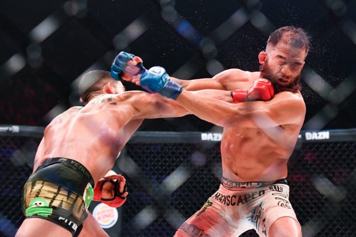 bellator 229