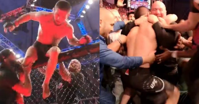 khabib nurmagomedov dana white