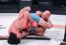 Bellator 229 – wyniki