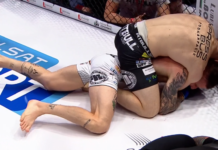 Armia Fight Night 7: Sylwester Miller dusi Dawida Pasternaka