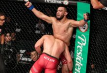 PFL 2019 #8 – wyniki