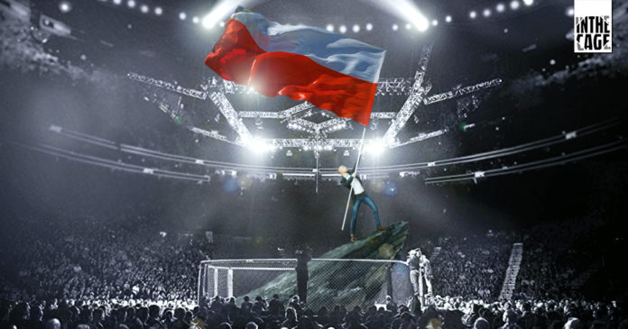polacy w ufc itc