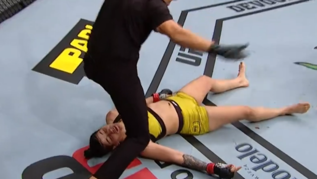UFC 245: Irene Aldana potwornie ciężko nokautuje Ketlen Vieirę [WIDEO]