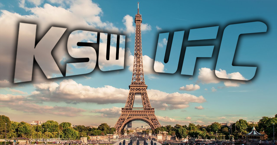 MMA we Francji trafi pod skrzydła francuskiej federacji bokserskiej