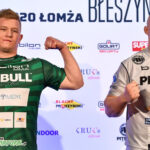 Dziczek-Stawowy