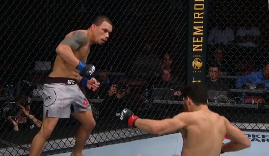 UFC 247: Journey Newson znokautował Domingo Pilarte w zaledwie 38 sekund [WIDEO]
