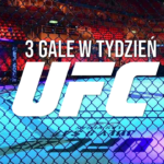 ufc 3 gale