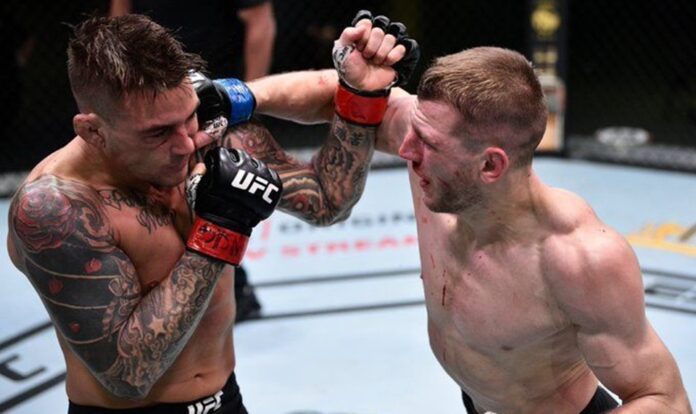 dan hooker, Dustin poirier