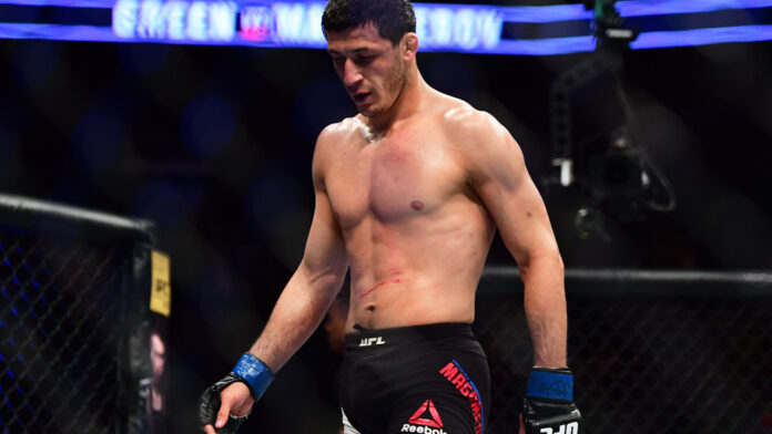 Rashid Magomedov