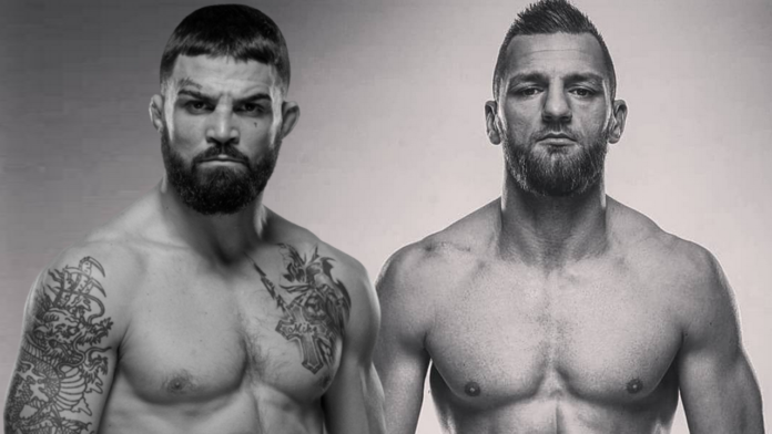 ufc_zavada