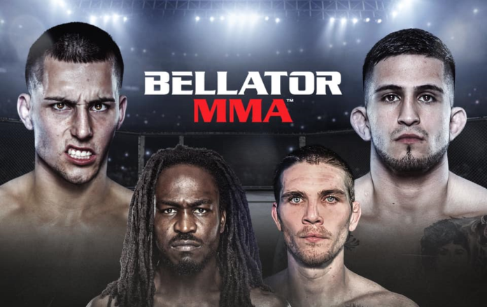 bellator 242