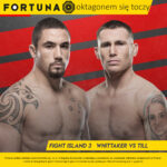 fortuna insta till