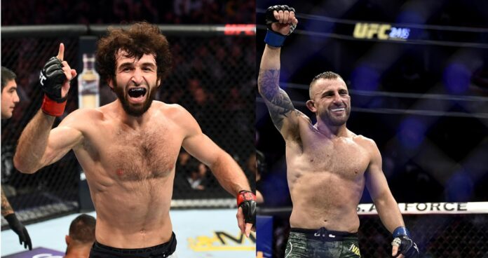 Zabit Magomedsharipov, Alexander Volkanovski