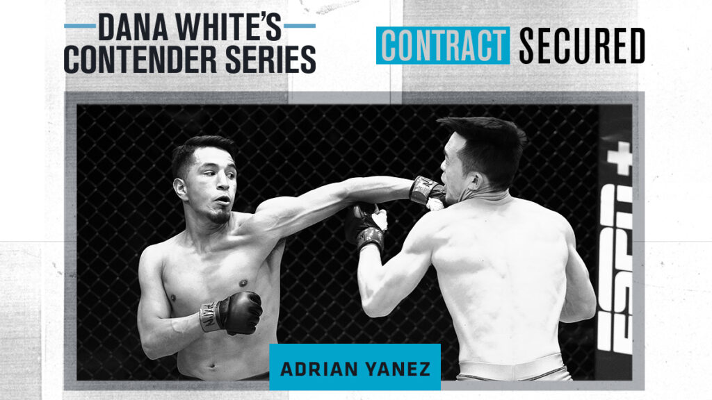 Dana White’s Contender Series 28: Aż pięcioro zawodników zasili szeregi UFC